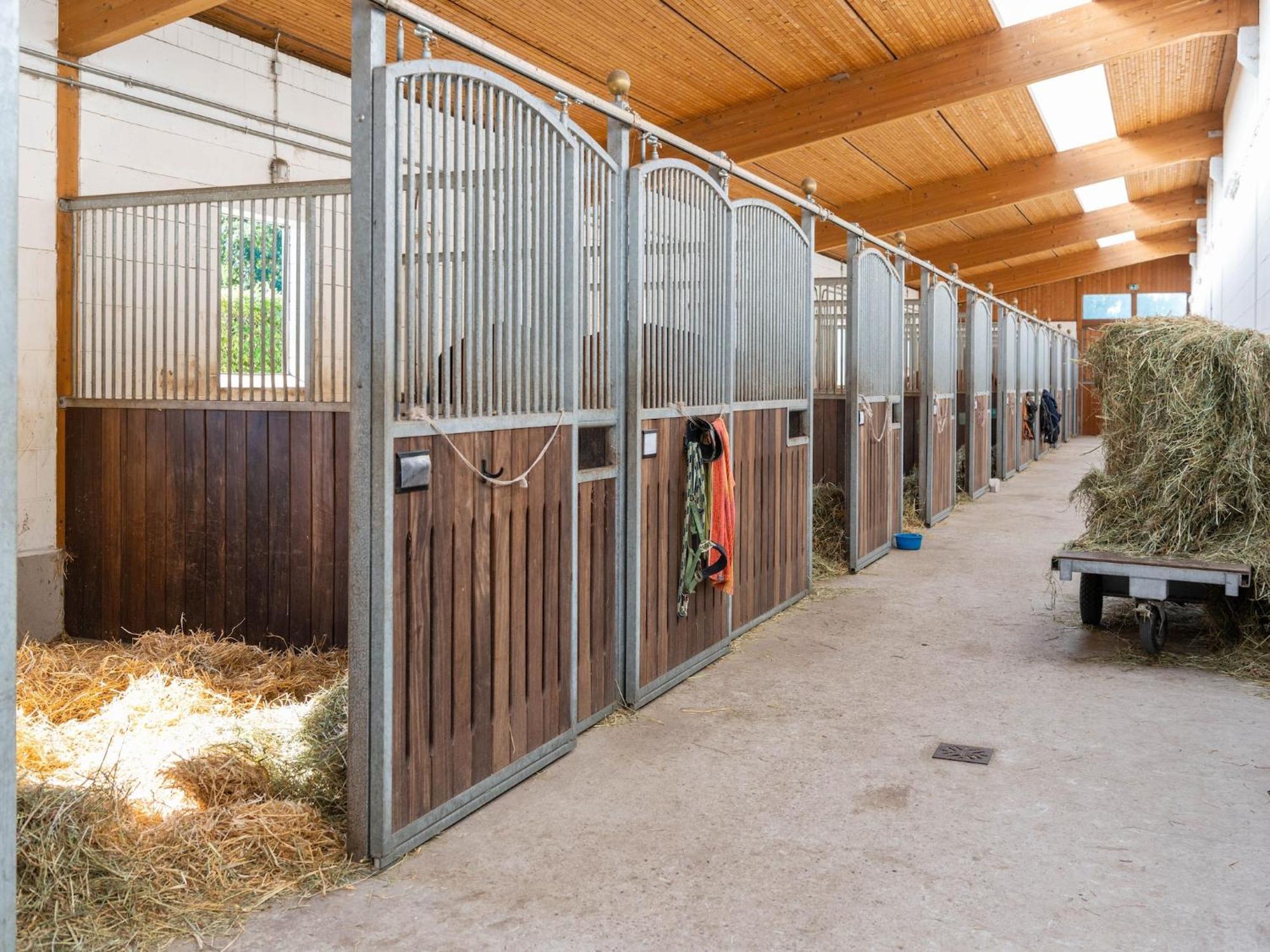 Holiday Home On A Horse Farm In The L Neburg Heath Eschede Экстерьер фото