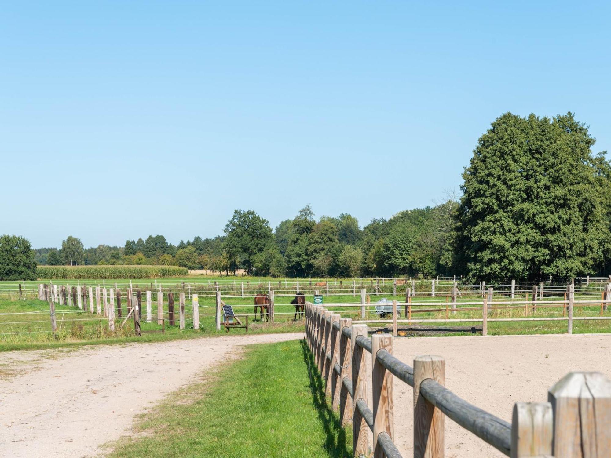 Holiday Home On A Horse Farm In The L Neburg Heath Eschede Экстерьер фото